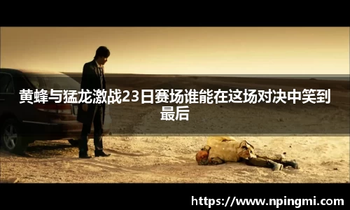 黄蜂与猛龙激战23日赛场谁能在这场对决中笑到最后
